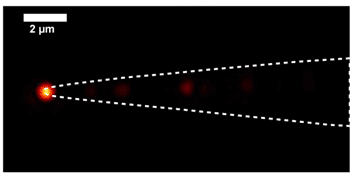 Fig.4. Side emission of the apex of the tapered and fully gold coated M-profile fiber tip.